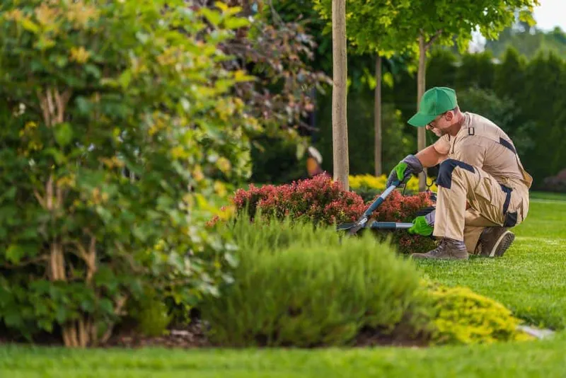 C27 License C 27 Landscaping Contractor License - C27 landscaping license