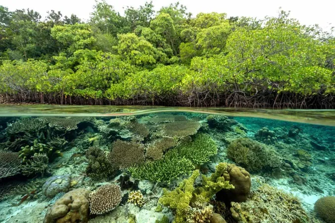 Ecology Test: Assess Your Environmental Knowledge - Ecology certification guide
