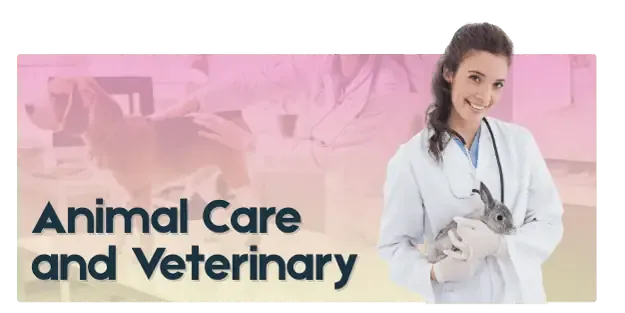 Animal Care and Veterinary