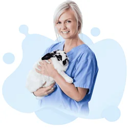 VTNE - Veterinary Technician National Examination