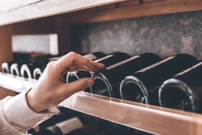 SOMM (Certified Sommelier Examination) Test Guide - Certified Sommelier Examination exam preparation