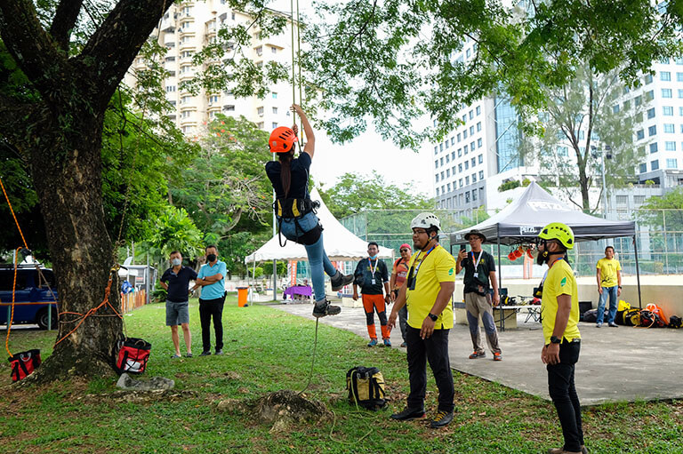 arborist training